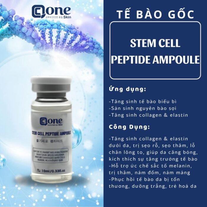 Tế bào gốc Qcone